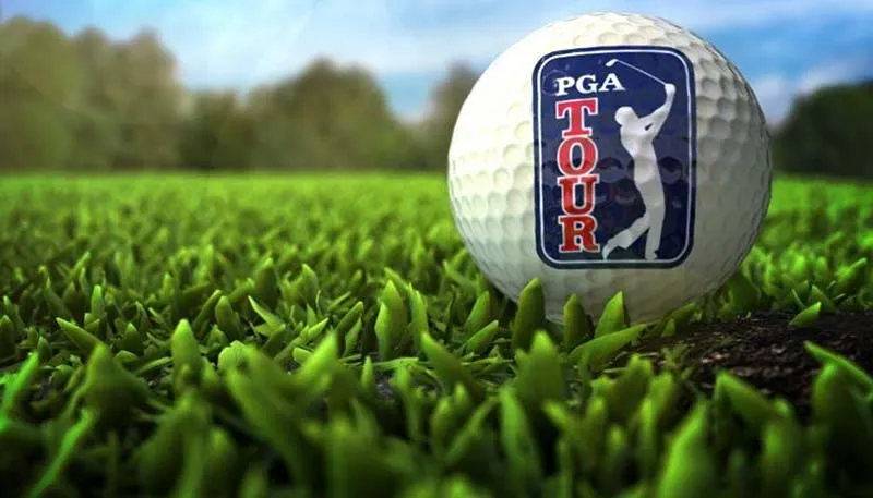 Giải Mã Các Tổ Chức Quyền Lực Trong Làng Golf: Vai Trò Của R&A, USGA, PGA, GCSAA Và CMAA
