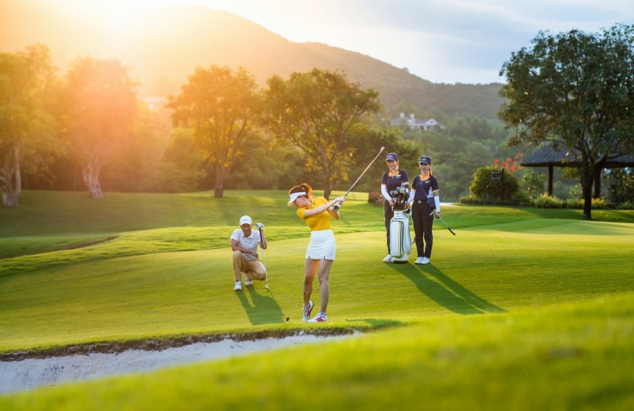 Golf Việt Nam Dưới Góc Nhìn Tìm Kiếm: Hành Vi Người Chơi Và Xu Hướng Thị Trường 2024–2025