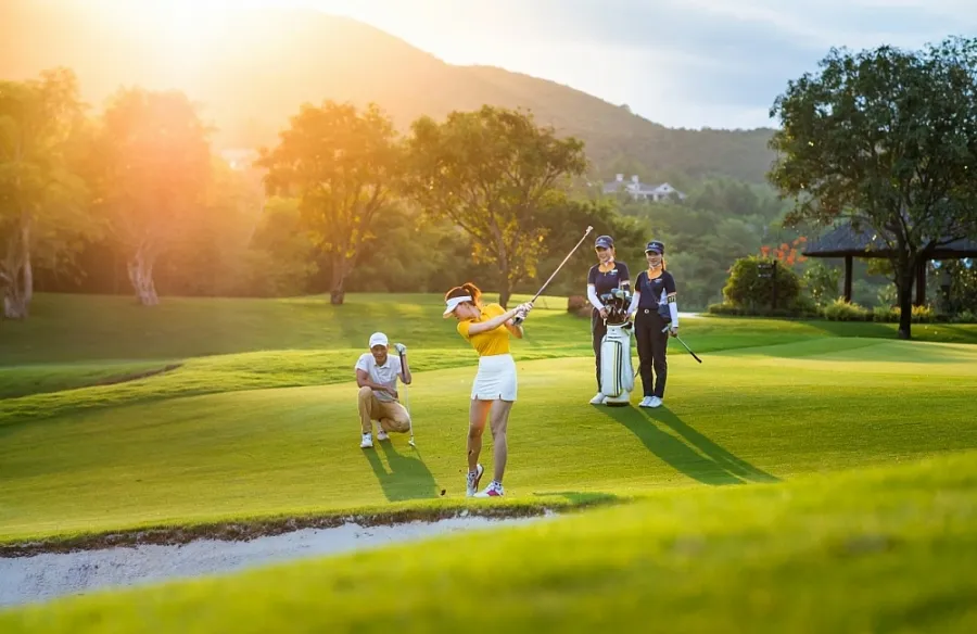 Golf Việt Nam Dưới Góc Nhìn Tìm Kiếm: Hành Vi Người Chơi Và Xu Hướng Thị Trường 2024–2025