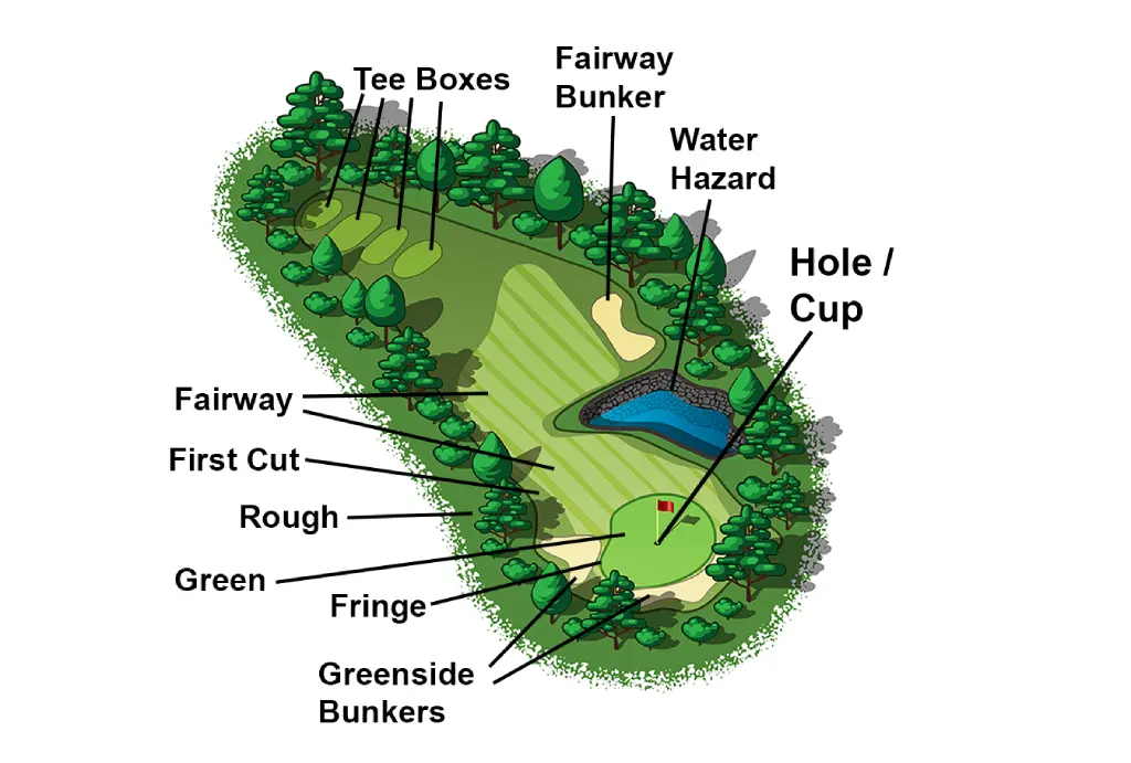 Mỗi khu vực trên sân — fairway, rough, bunker hay green — đều ảnh hưởng trực tiếp đến chiến thuật và lựa chọn cú đánh. (Nguồn ảnh: Top Golf Biz)