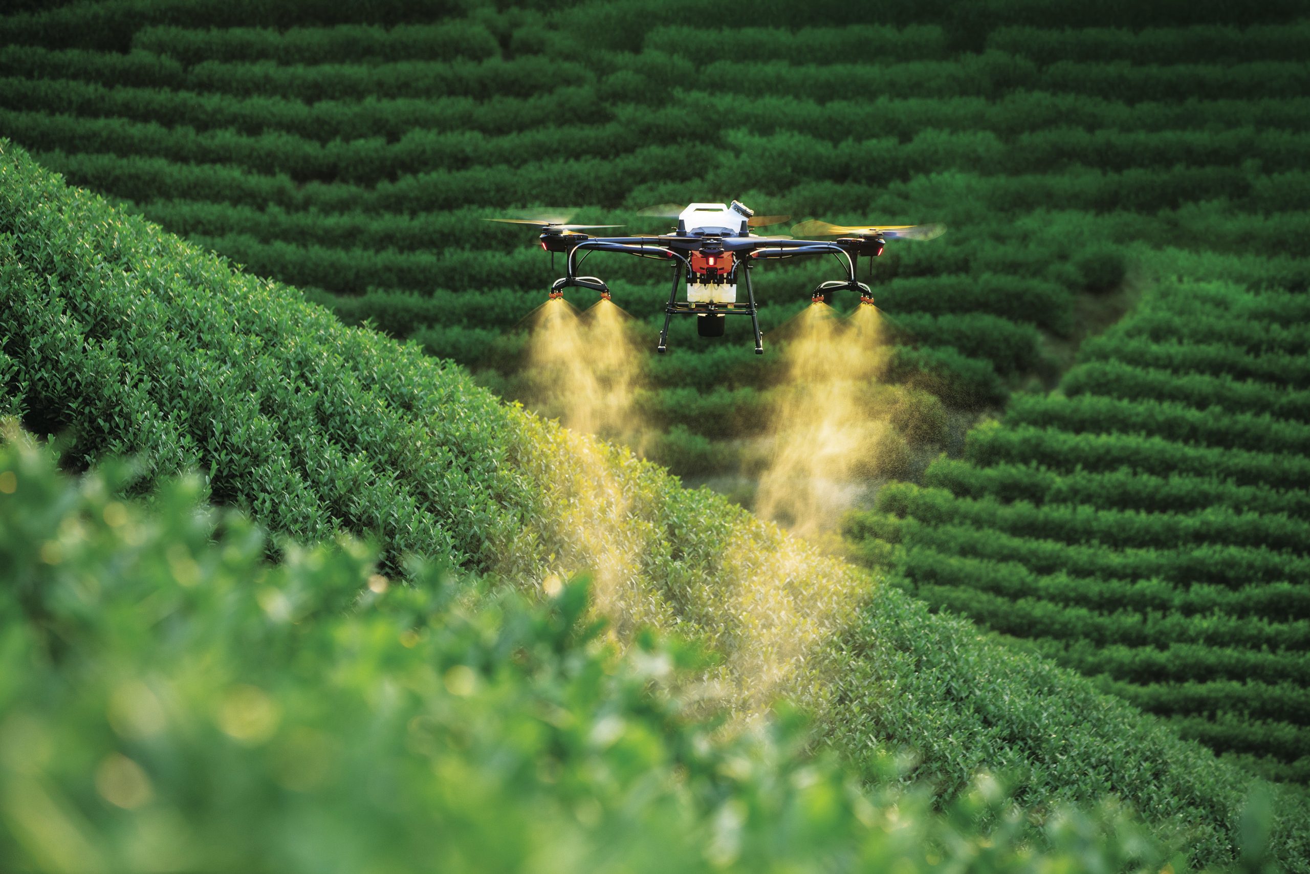 Drone đa phổ đang mở ra kỷ nguyên quản lý mặt cỏ chính xác, giúp sân golf theo dõi sức khỏe turf và tối ưu tưới tiêu theo dữ liệu thực tế. (Nguồn ảnh: Tạp chí Nông thôn Việt)