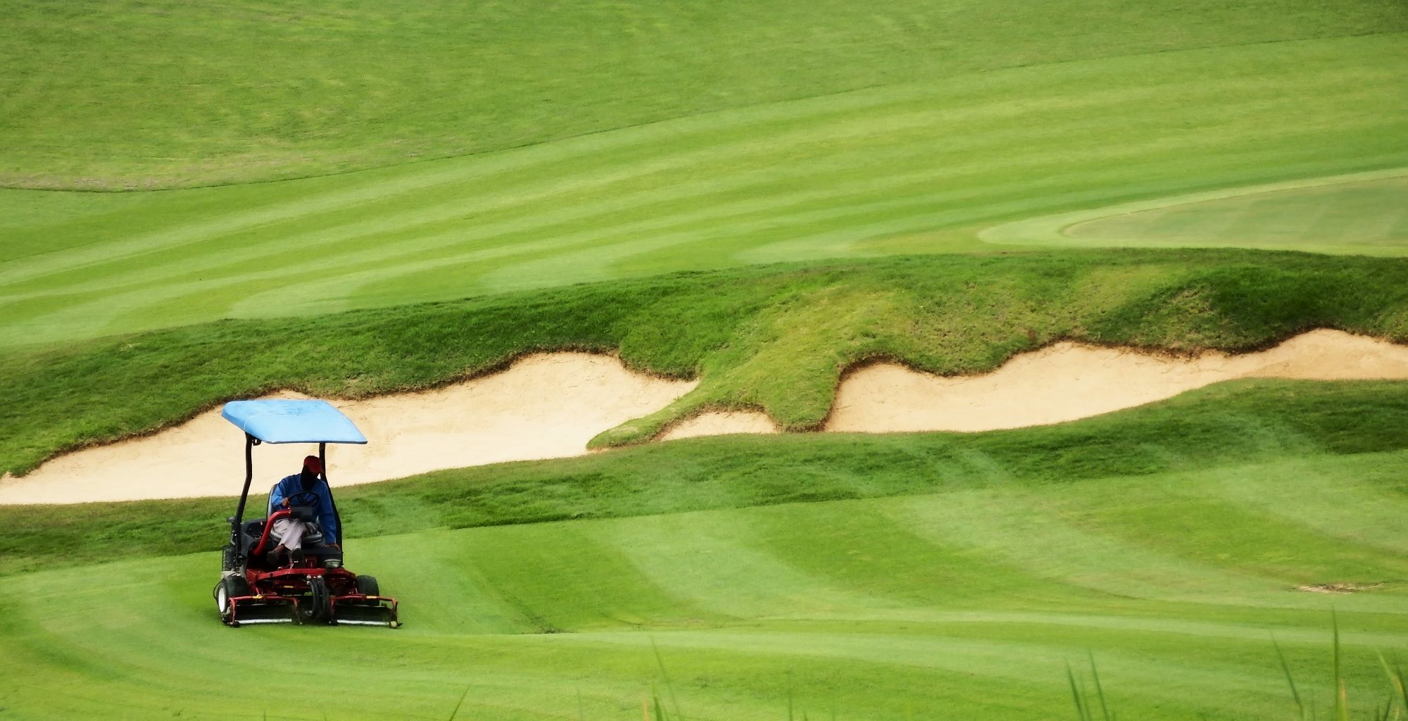 Các sân golf hiện đại ưu tiên giống cỏ chịu hạn thế hệ mới, giảm nhu cầu nước tưới, hóa chất và tối ưu chi phí vận hành trước biến đổi khí hậu. (Nguồn ảnh: Trang tin SKIM Turf Management)