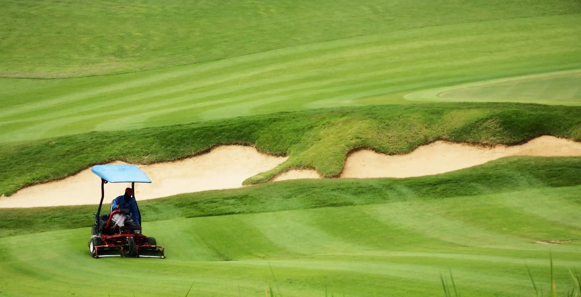 Các sân golf hiện đại ưu tiên giống cỏ chịu hạn thế hệ mới, giảm nhu cầu nước tưới, hóa chất và tối ưu chi phí vận hành trước biến đổi khí hậu. (Nguồn ảnh: Trang tin SKIM Turf Management)