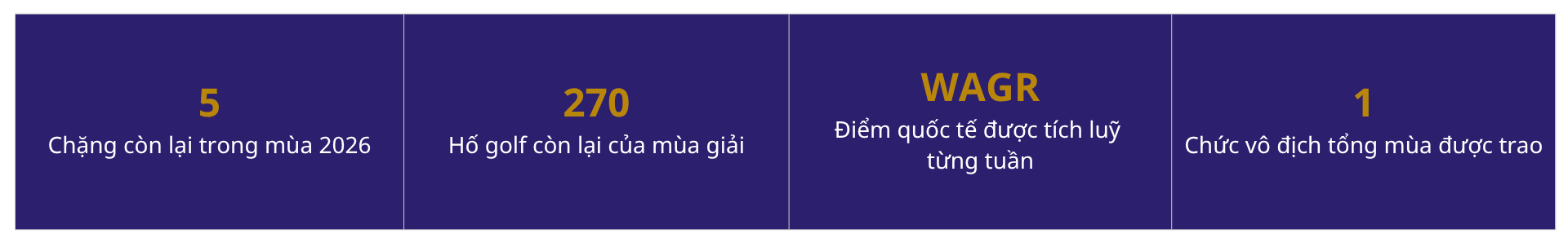 cho con chơi golf trẻ em Việt Nam