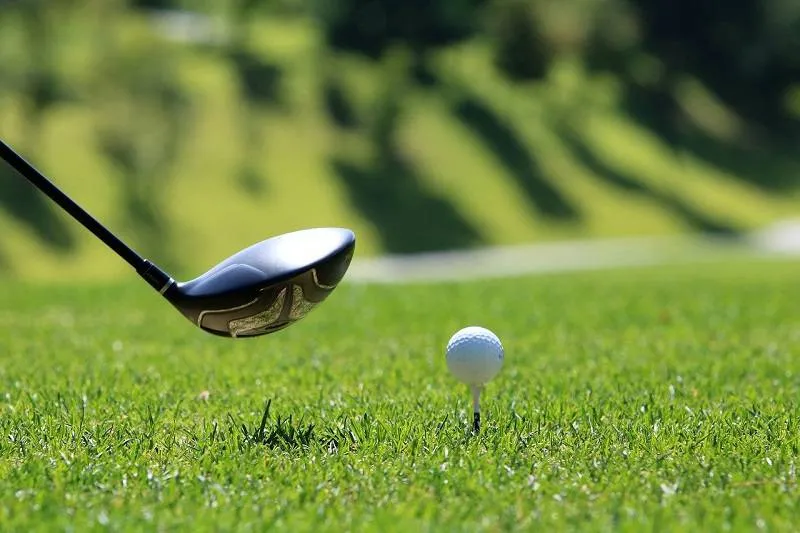 Trên Bentgrass, mọi đường putt trở nên “trung thực” hơn bao giờ hết—bóng lăn đúng như những gì địa hình âm thầm dẫn dắt. (Nguồn ảnh: Trang tin Golf Việt)