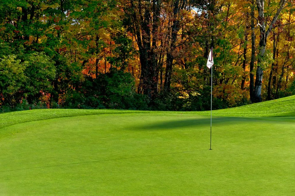 Tại green, mỗi cú putt không chỉ kết thúc hố mà còn phản ánh toàn bộ cảm giác và chiến thuật trước đó. (Nguồn ảnh: Trang tin Vietnam Golf Magazine)