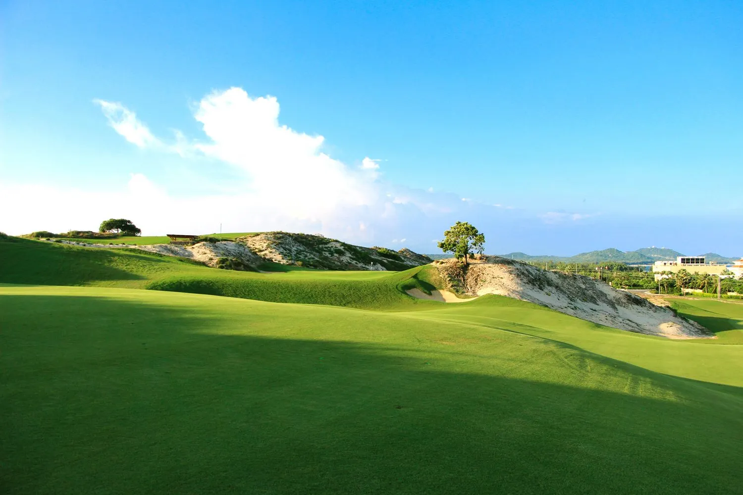Ít grain hơn Bermuda, Paspalum mang lại độ lăn ổn định, giúp caddie và golfer dự đoán đường bóng chính xác hơn. (Nguồn ảnh: Trang tin Vietnam Golf Magazine)