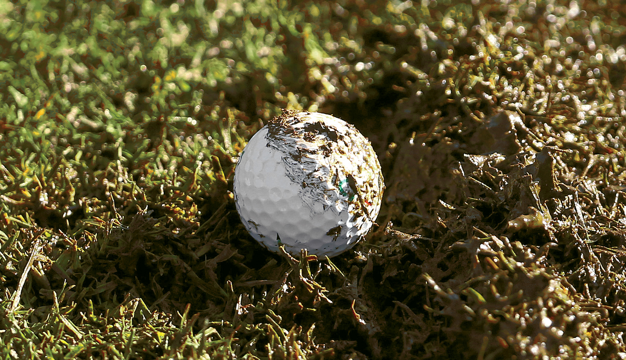 Rule 16 và Rule 19 quy định rõ các trường hợp golfer được di chuyển bóng miễn phí hoặc chịu phạt trên sân golf. (Nguồn ảnh: Trang tin Golf Canada)