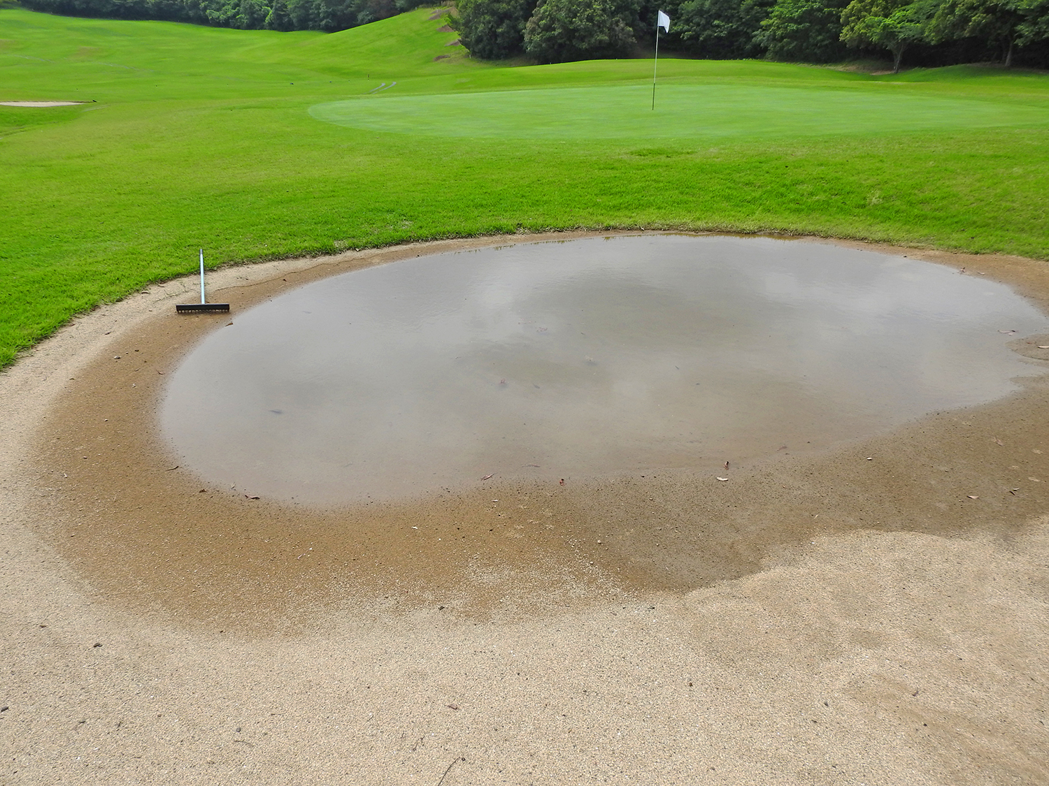 Sau cơn mưa, sân golf như “thay da đổi thịt”, nơi từng cú đánh phải thích nghi với bề mặt ẩm và khó lường.  (Nguồn ảnh: Trang tin Golf Việt)