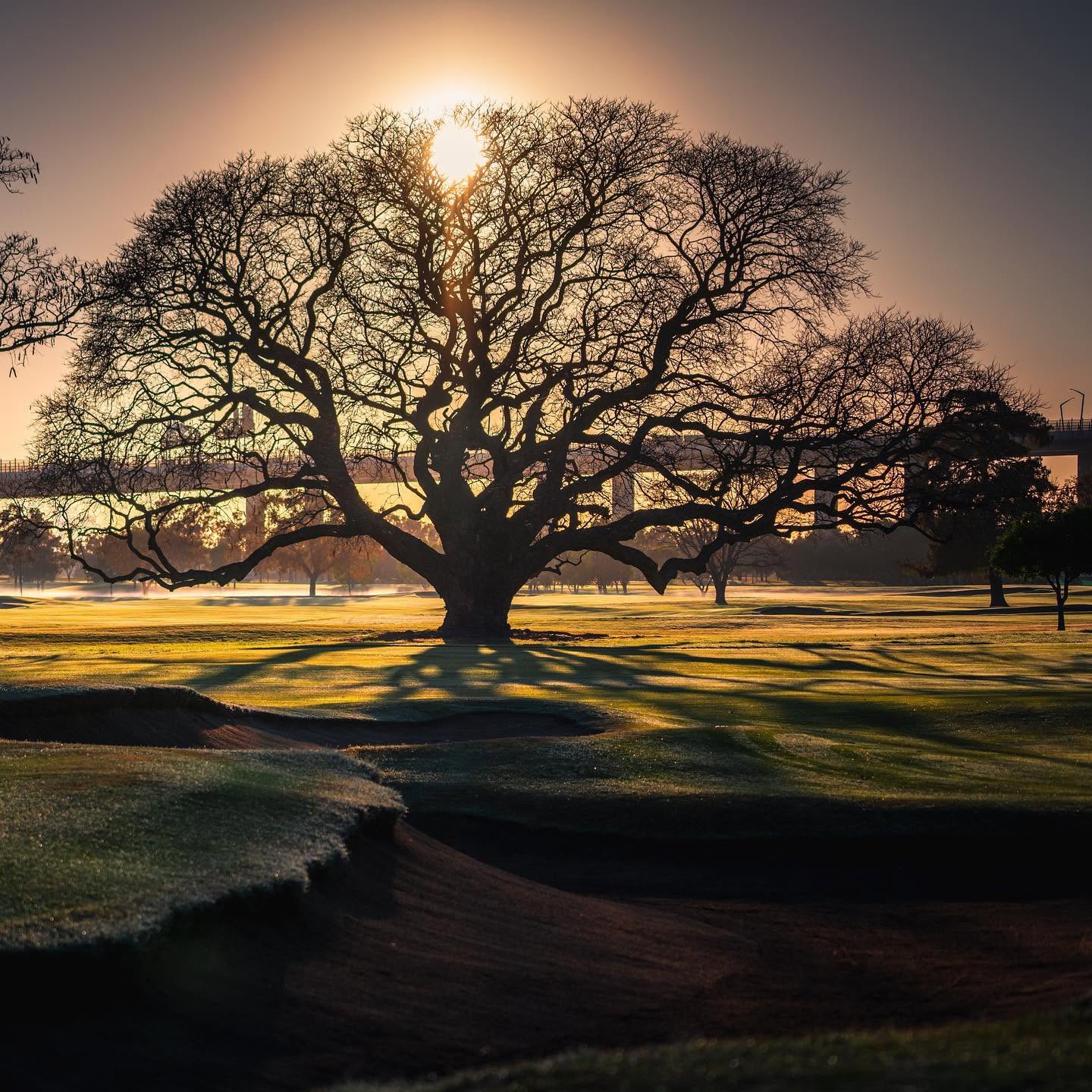 golf ecosystem