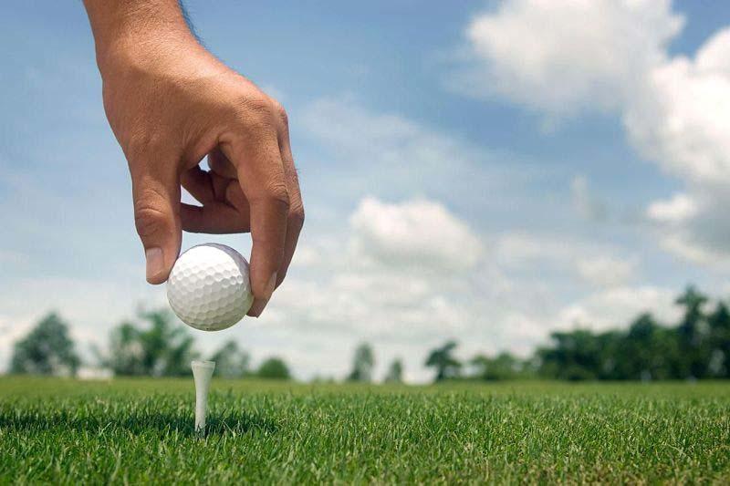 Tee giúp nâng bóng khi phát bóng; người mới nên chuẩn bị vài loại phù hợp với từng gậy và luôn có tee dự phòng. (Nguồn ảnh: Trang tin ARISTINO)