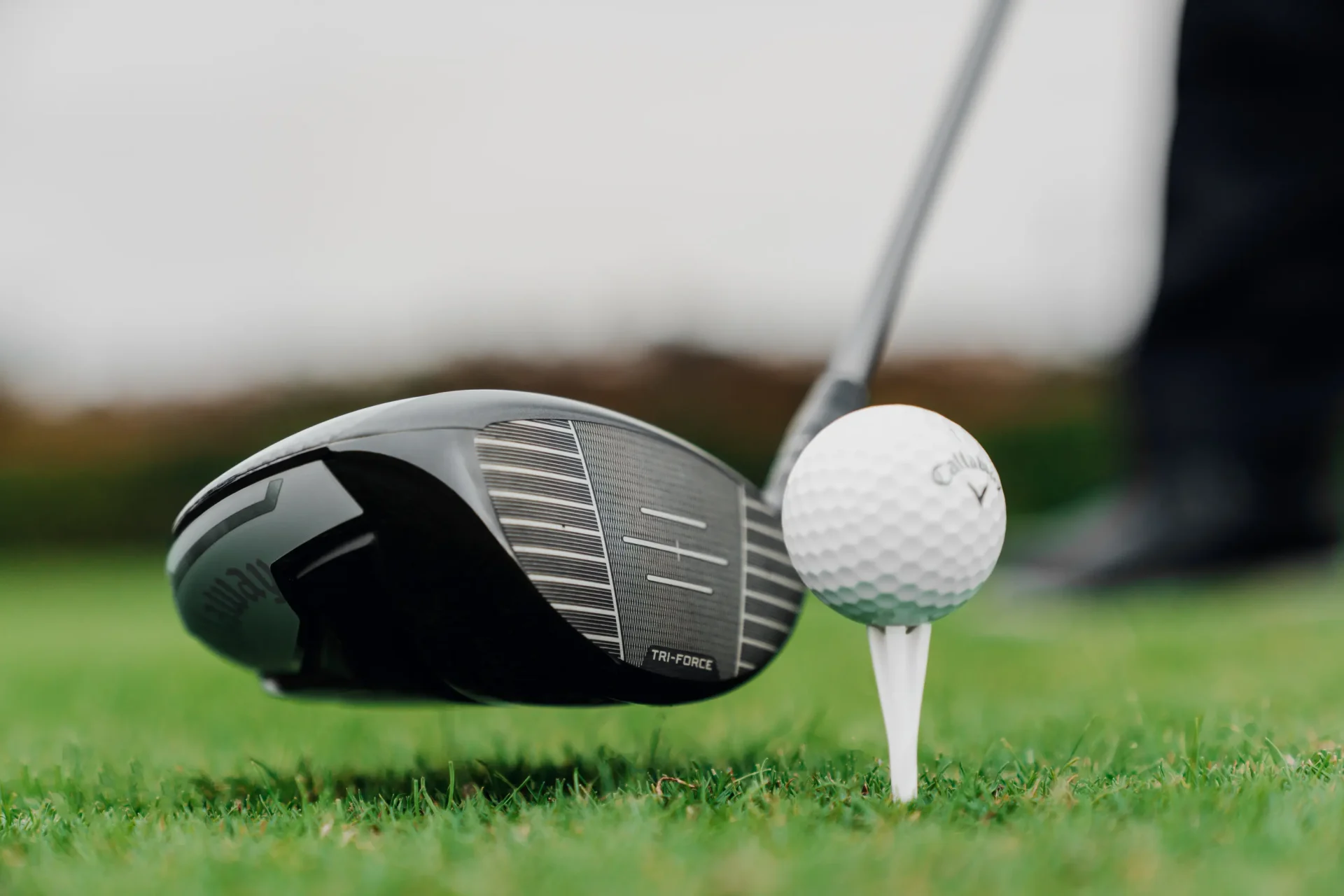 rollback bóng golf