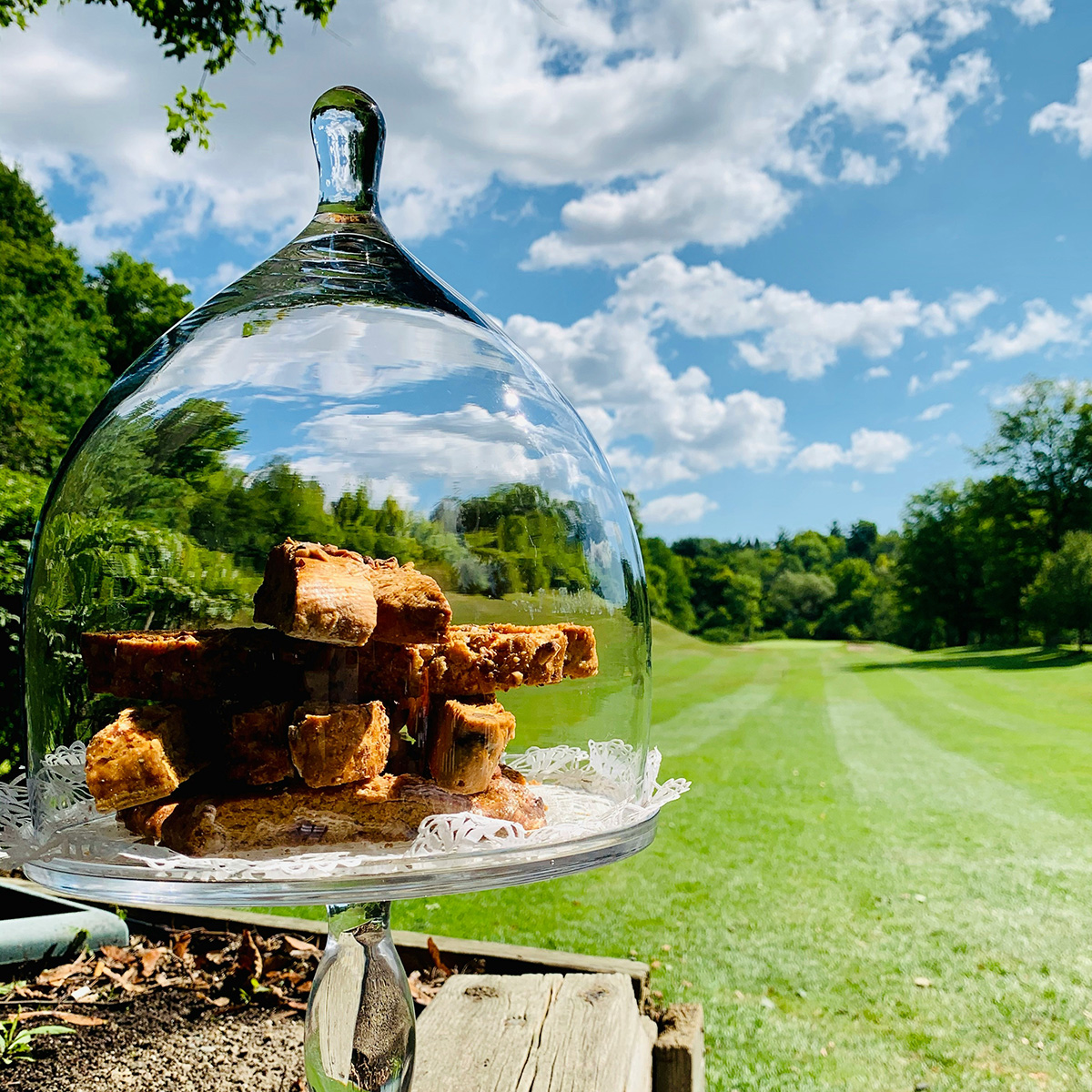 công nghệ sân golf